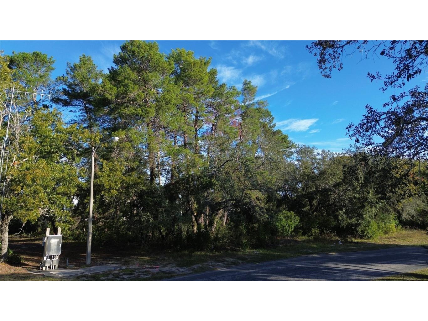7931 Rhanbuoy Road Spring Hill FL 34606 TB8444851 image4