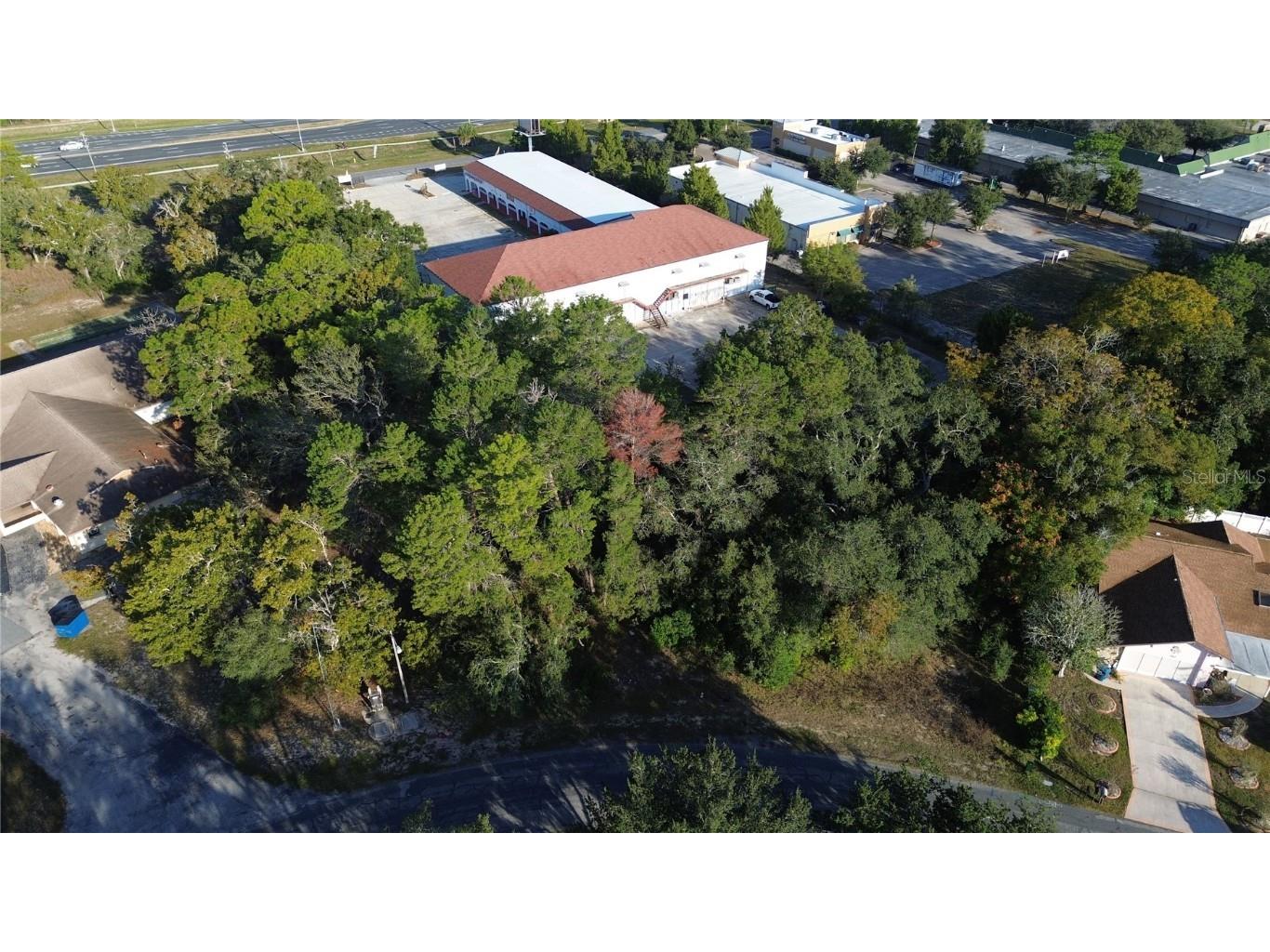 7931 Rhanbuoy Road Spring Hill FL 34606 TB8444851 image5