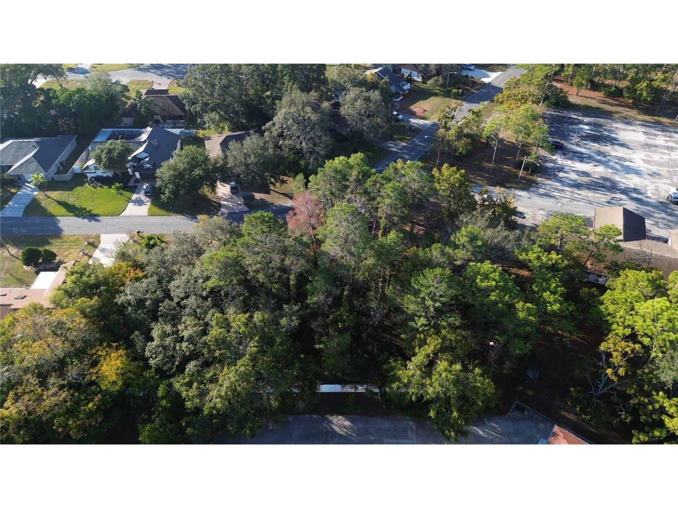 7931 Rhanbuoy Road Spring Hill FL 34606 TB8444851 image6