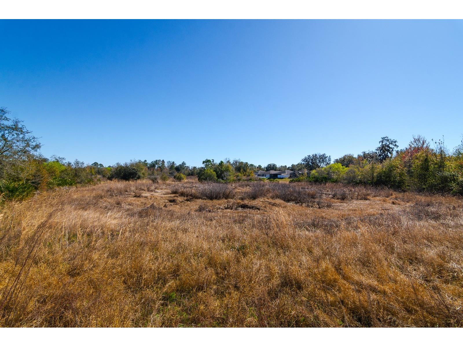 7932 Harbor Bridge Boulevard New Port Richey FL 34654 TB8470087 image40