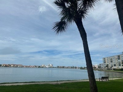 7932 Sailboat Key Boulevard S #603 South Pasadena FL 33707 TB8448324 image60