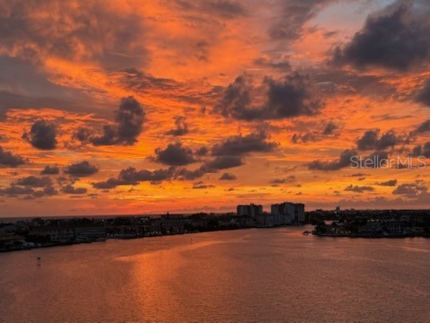 7932 Sailboat Key Boulevard S #806 South Pasadena FL 33707 TB8412586 image2