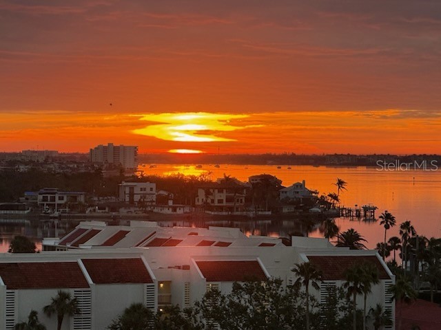 7932 Sailboat Key Boulevard S #806 South Pasadena FL 33707 TB8412586 image27