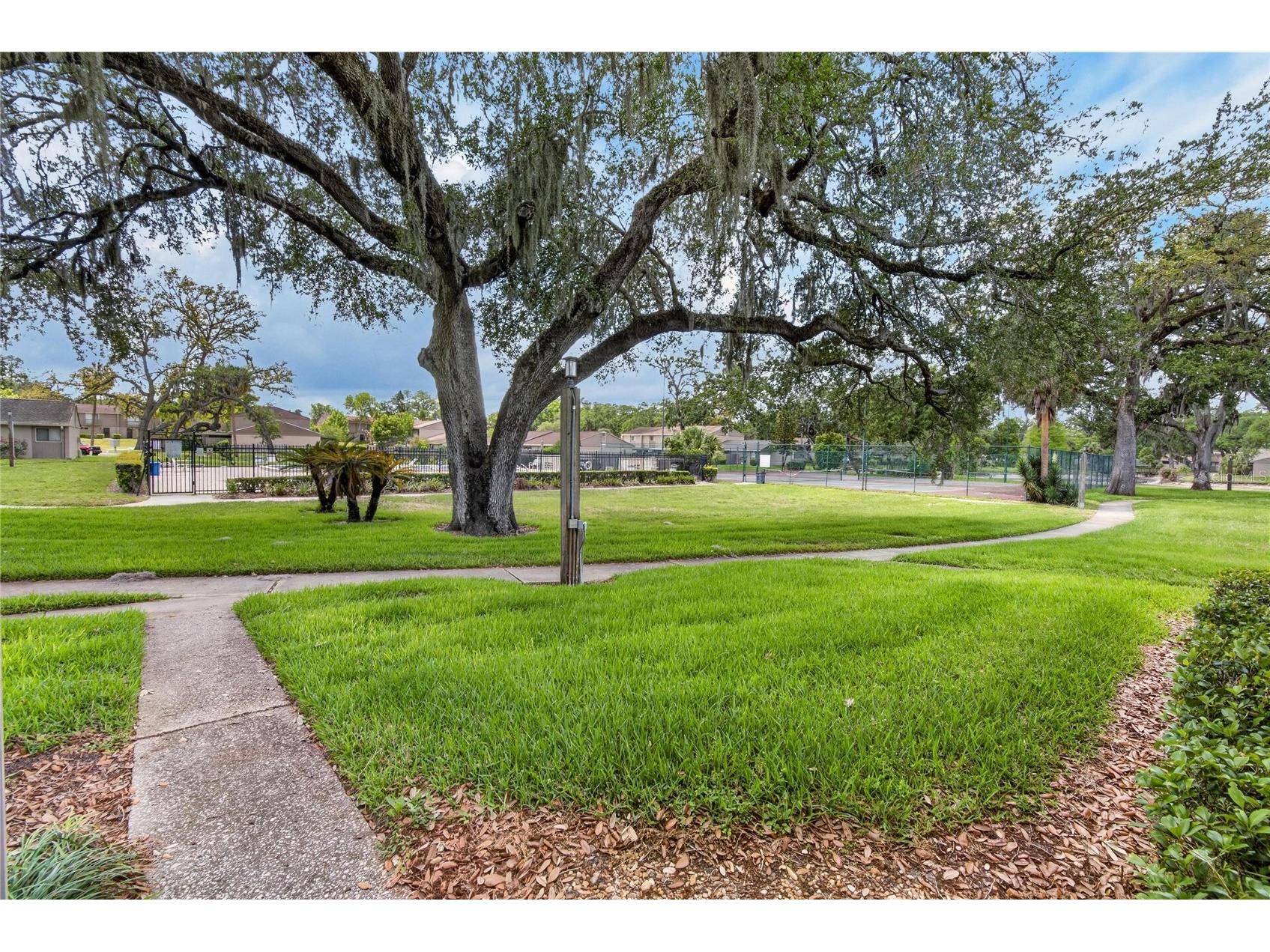 7933 Pine Drive #37 Temple Terrace FL 33637 TB8493026 image37