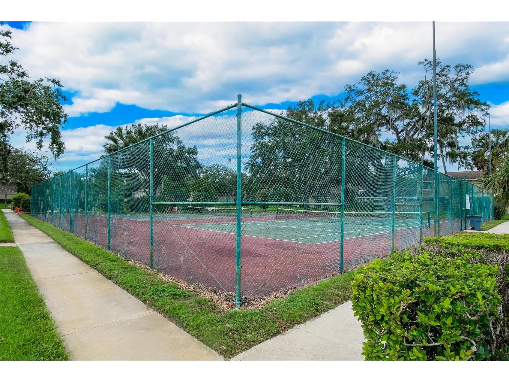 7933 Pine Drive #37 Temple Terrace FL 33637 TB8493026 image40