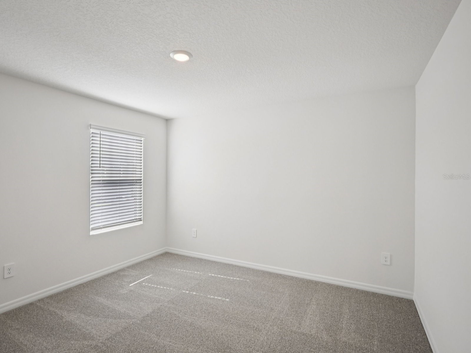 7934 Lake Powell Place Parrish FL 34219 TB8504674 image26