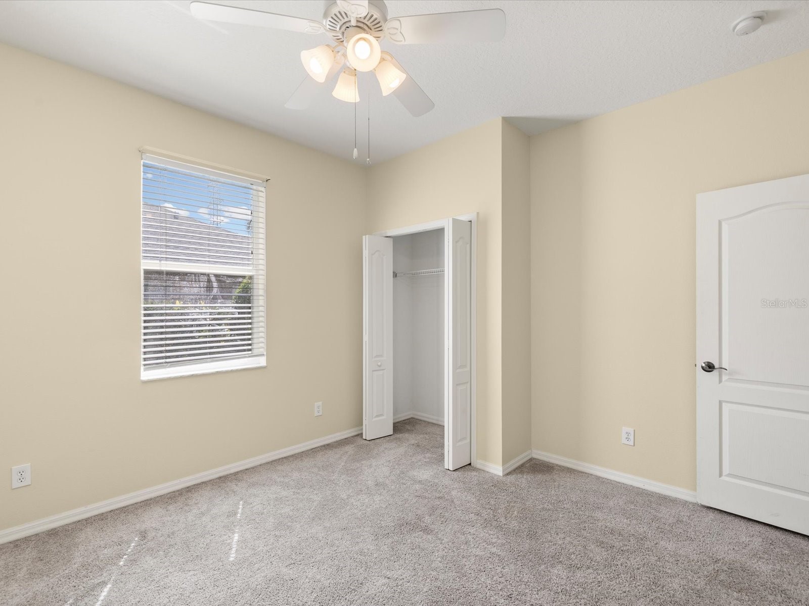 7935 Calindra Court Trinity FL 34655 TB8388387 image23