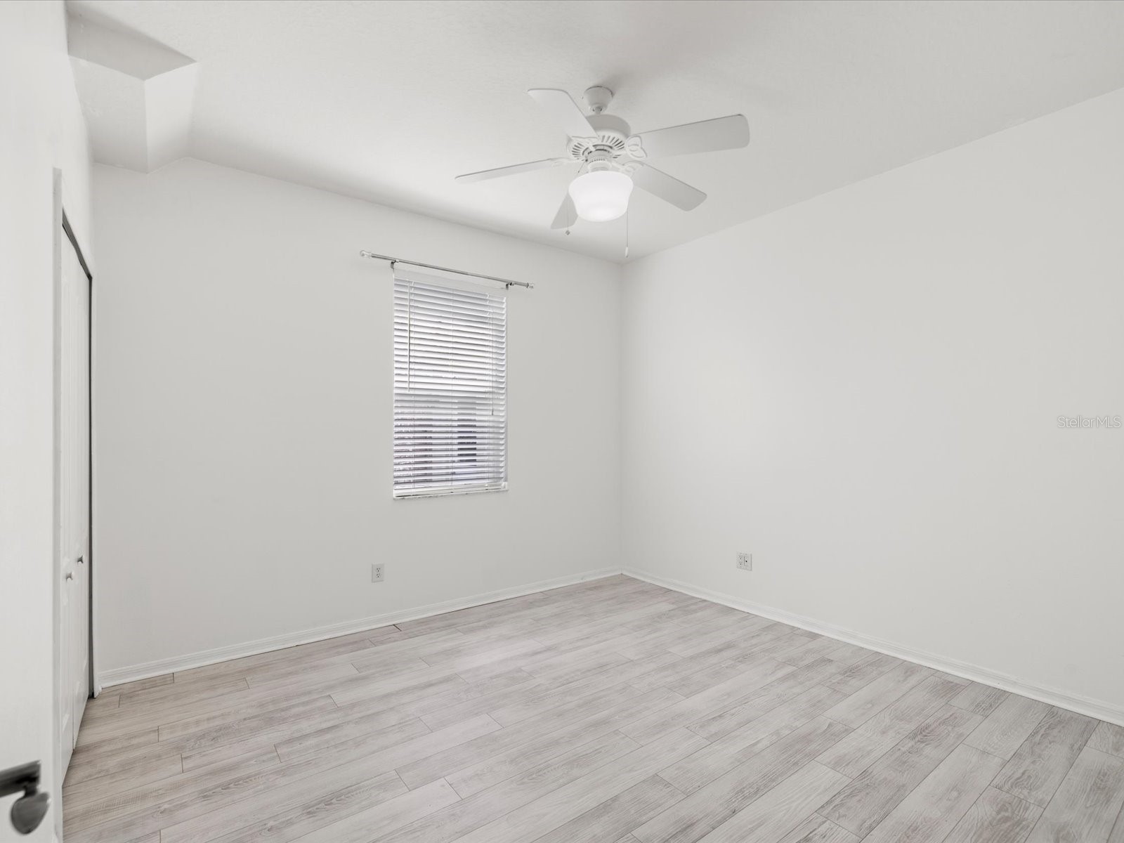 7935 Calindra Court Trinity FL 34655 TB8388387 image24