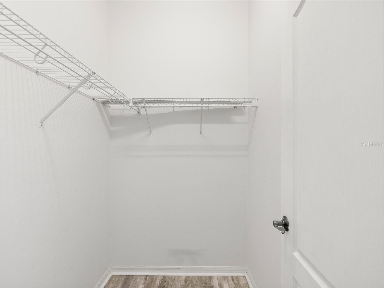 7935 Calindra Court Trinity FL 34655 TB8388387 image27