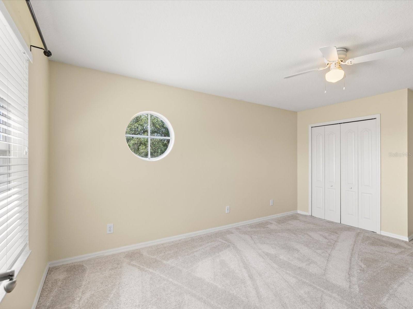 7935 Calindra Court Trinity FL 34655 TB8388387 image32