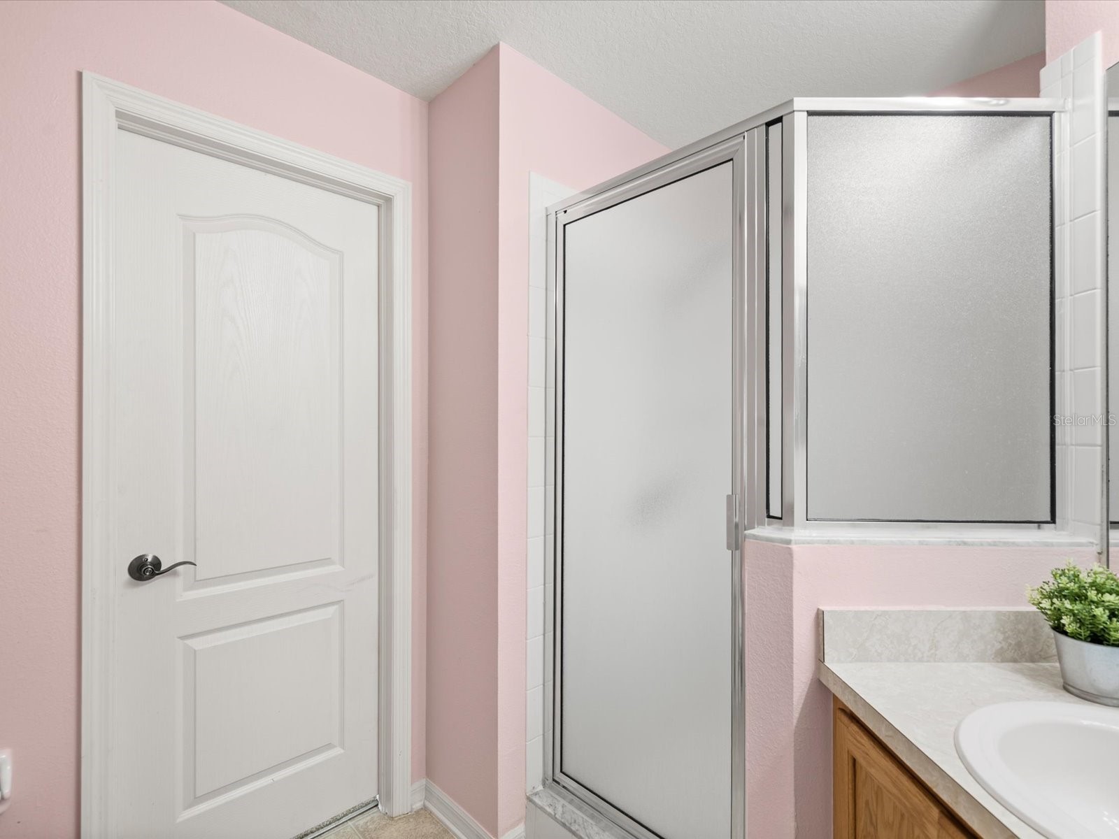 7935 Calindra Court Trinity FL 34655 TB8388387 image33