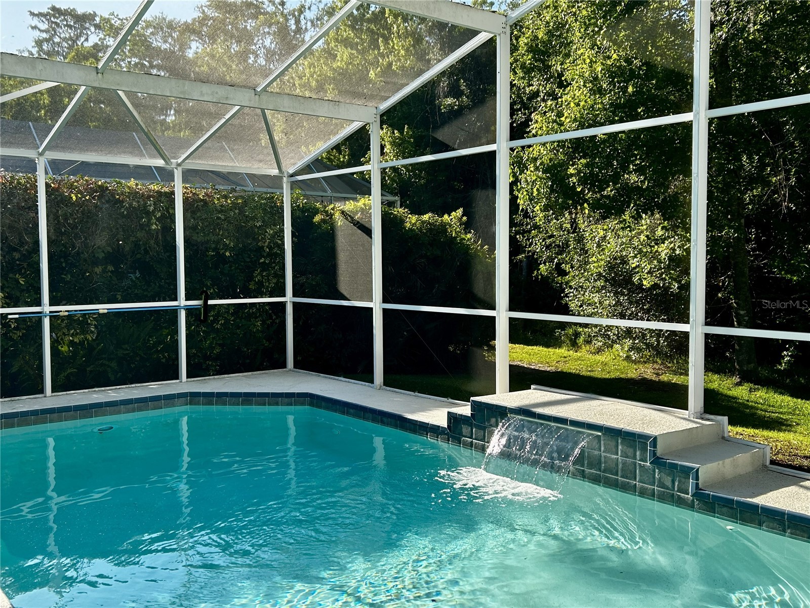 7935 Calindra Court Trinity FL 34655 TB8388387 image36