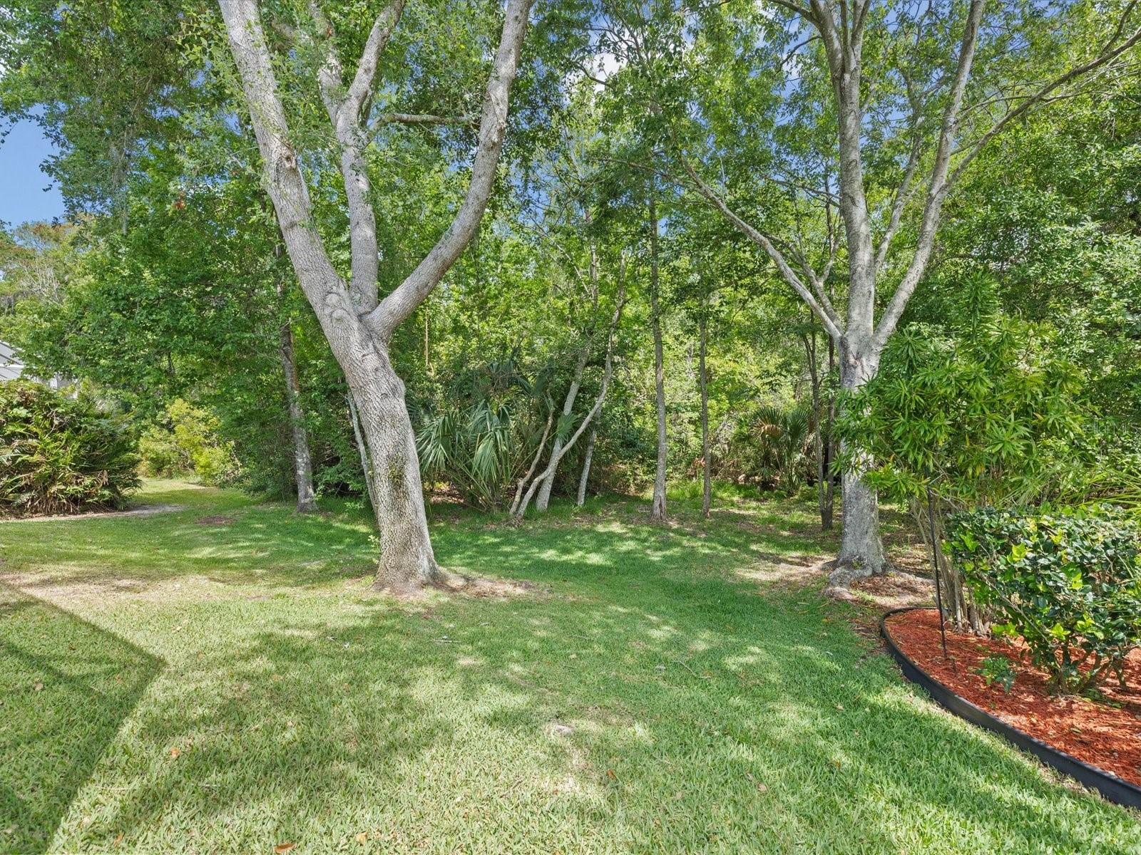 7935 Calindra Court Trinity FL 34655 TB8388387 image4