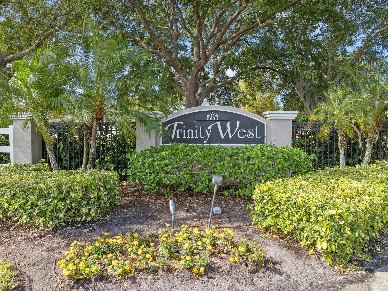 7935 Calindra Court Trinity FL 34655 TB8388387 image44