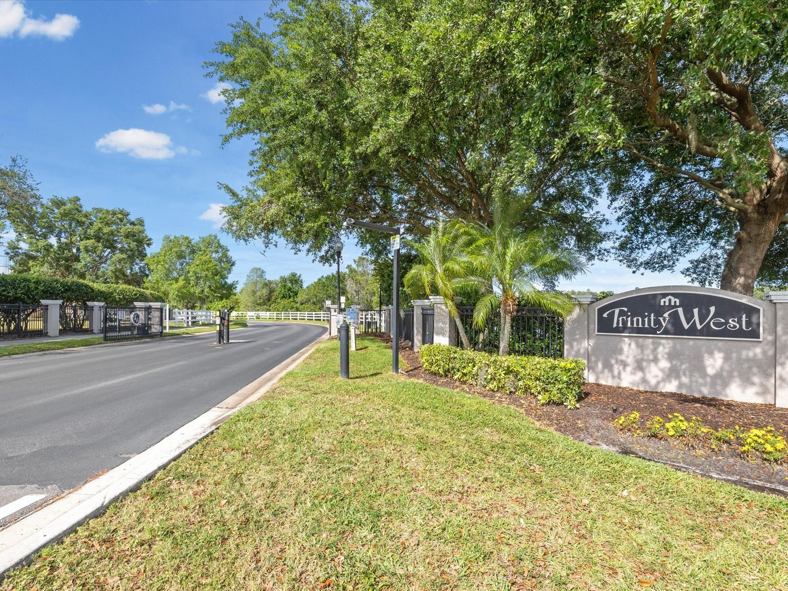 7935 Calindra Court Trinity FL 34655 TB8388387 image45