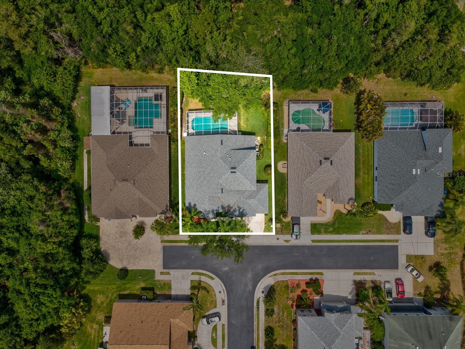 7935 Calindra Court Trinity FL 34655 TB8388387 image46