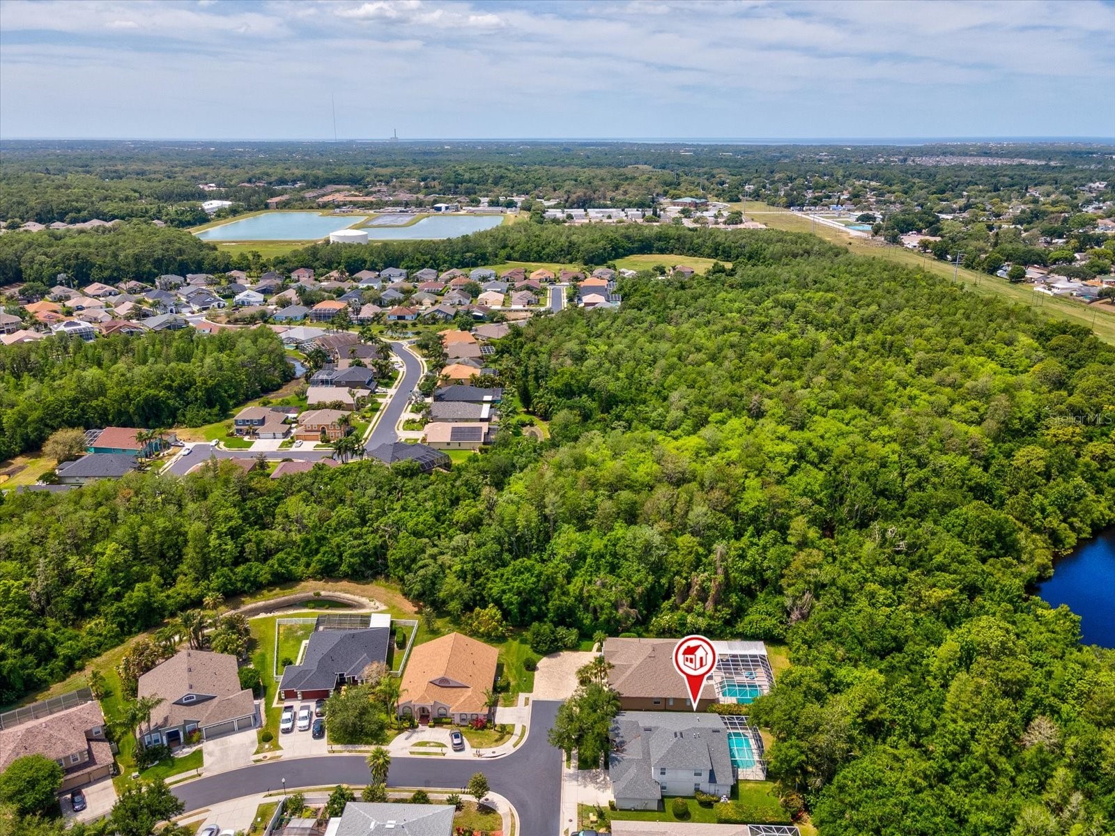 7935 Calindra Court Trinity FL 34655 TB8388387 image47
