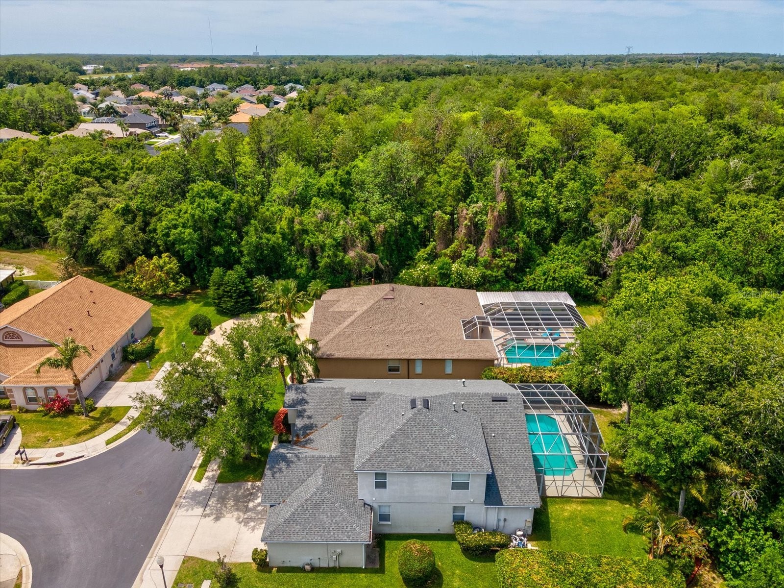 7935 Calindra Court Trinity FL 34655 TB8388387 image48
