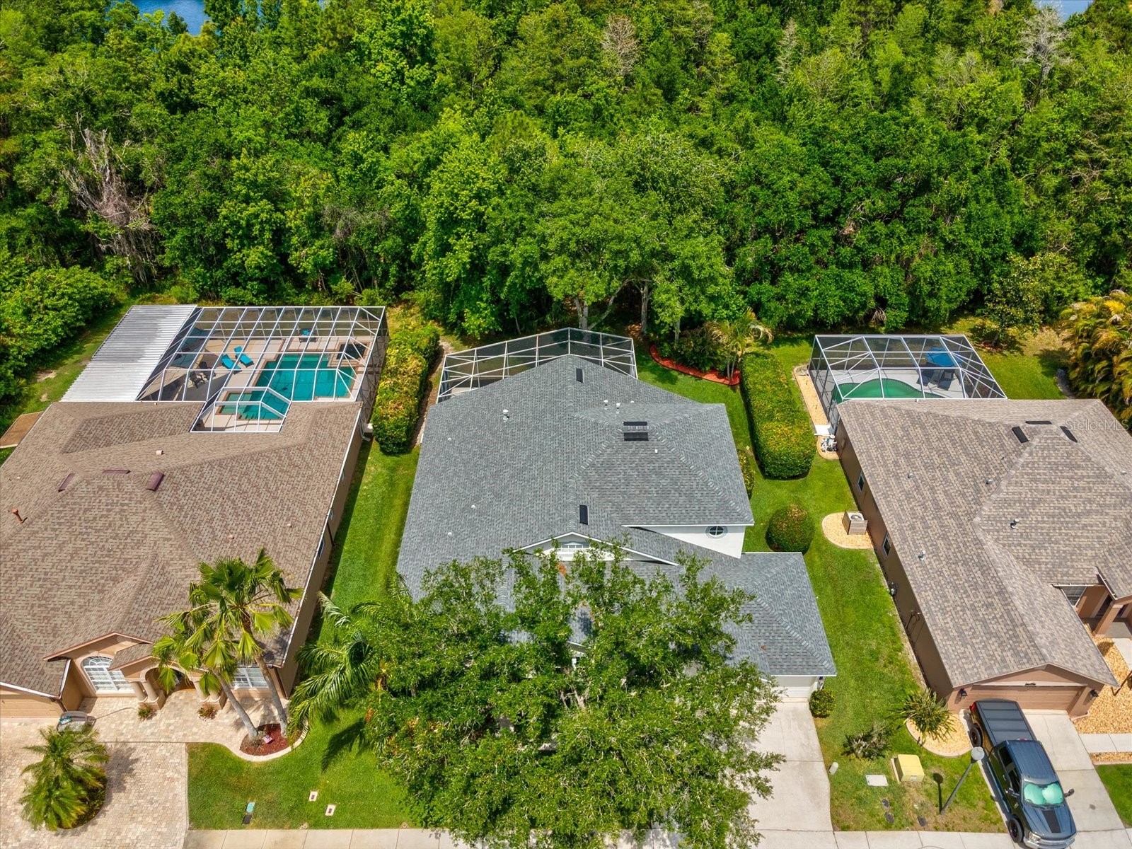 7935 Calindra Court Trinity FL 34655 TB8388387 image49