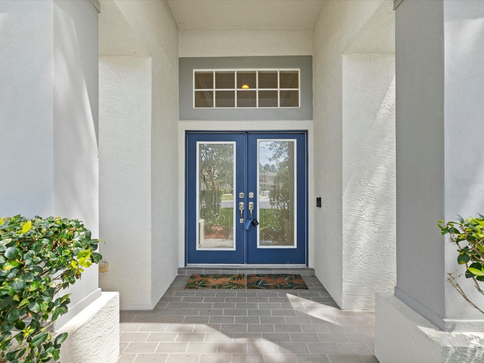 7935 Calindra Court Trinity FL 34655 TB8388387 image5