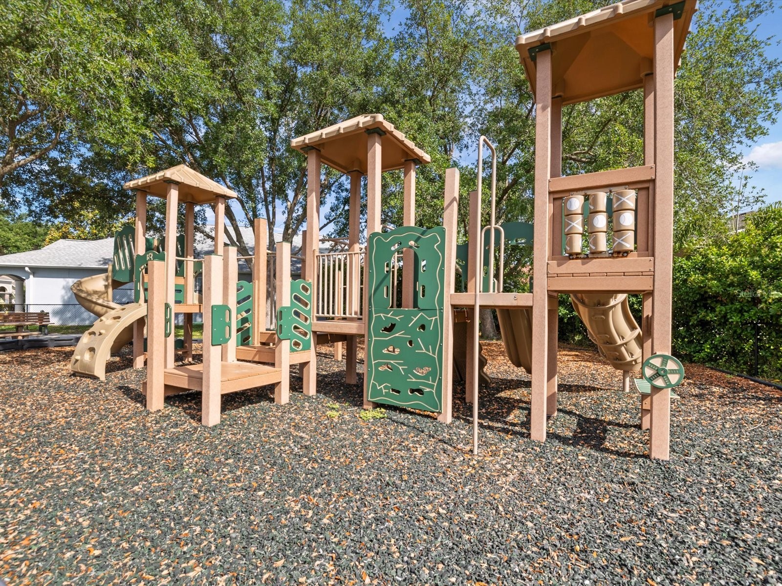 7935 Calindra Court Trinity FL 34655 TB8388387 image52