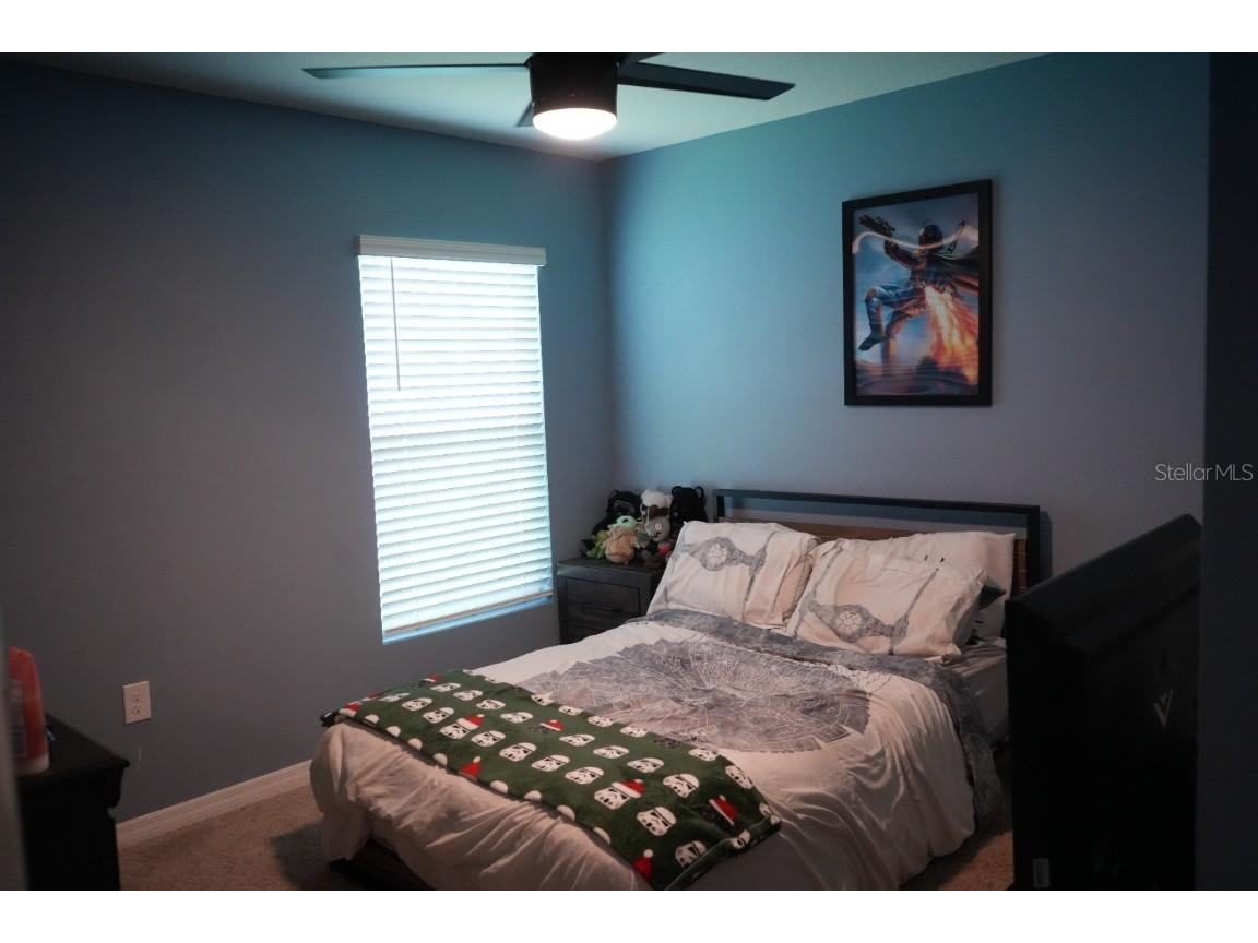 7938 Broad Pointe Drive Zephyrhills FL 33540 TB8408352 image15