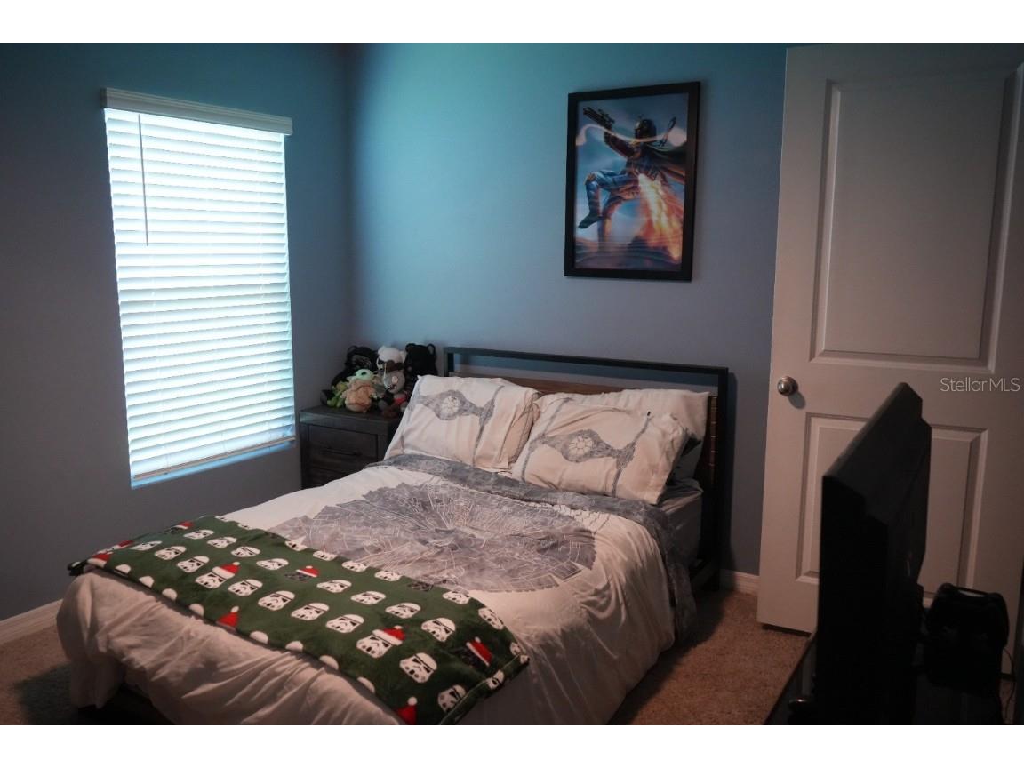 7938 Broad Pointe Drive Zephyrhills FL 33540 TB8408352 image17