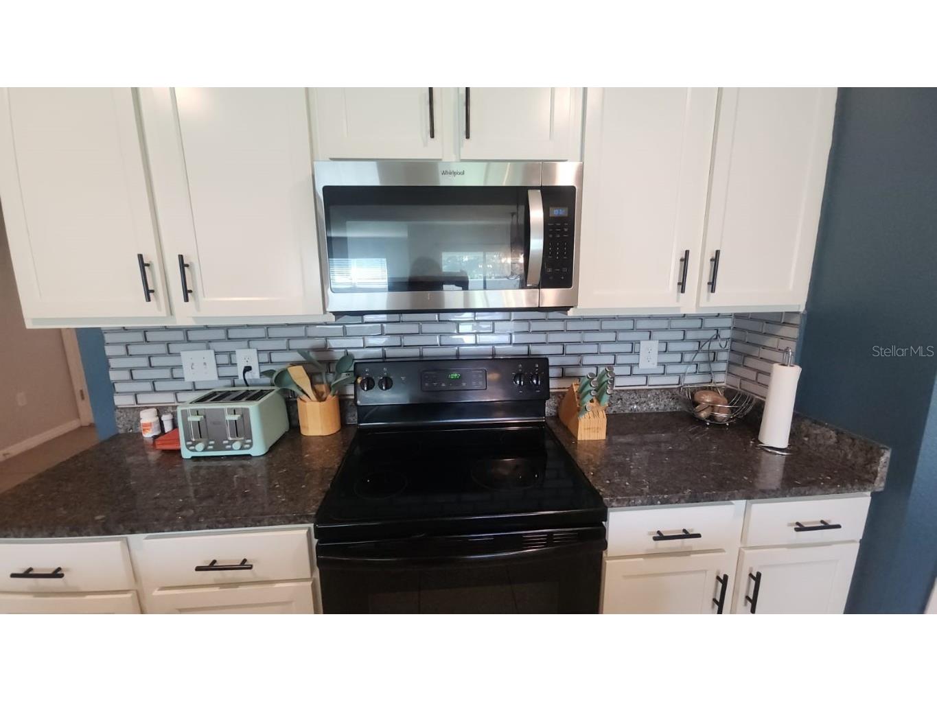 7938 Broad Pointe Drive Zephyrhills FL 33540 TB8408352 image8