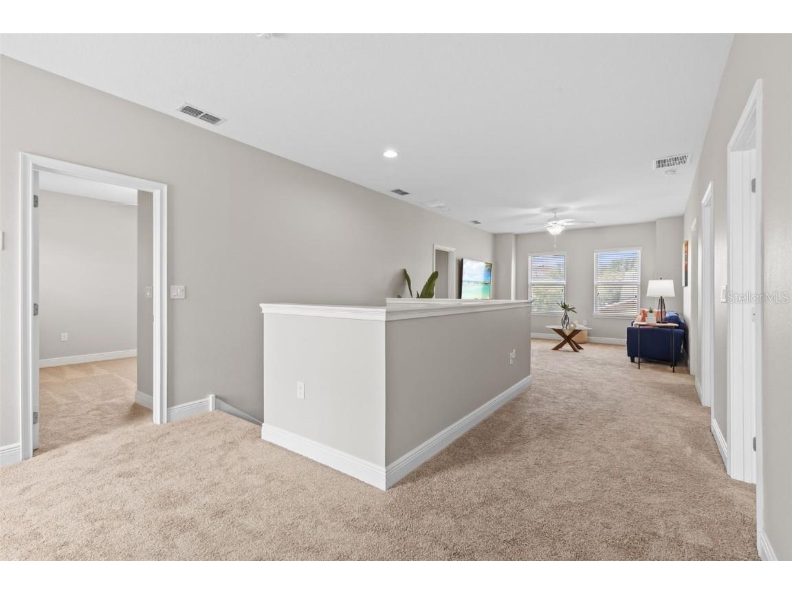 7938 Hampton Lake Drive Tampa FL 33647 TB8410962 image34