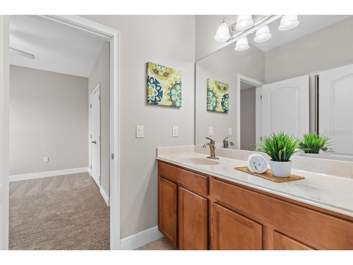 7938 Hampton Lake Drive Tampa FL 33647 TB8410962 image48