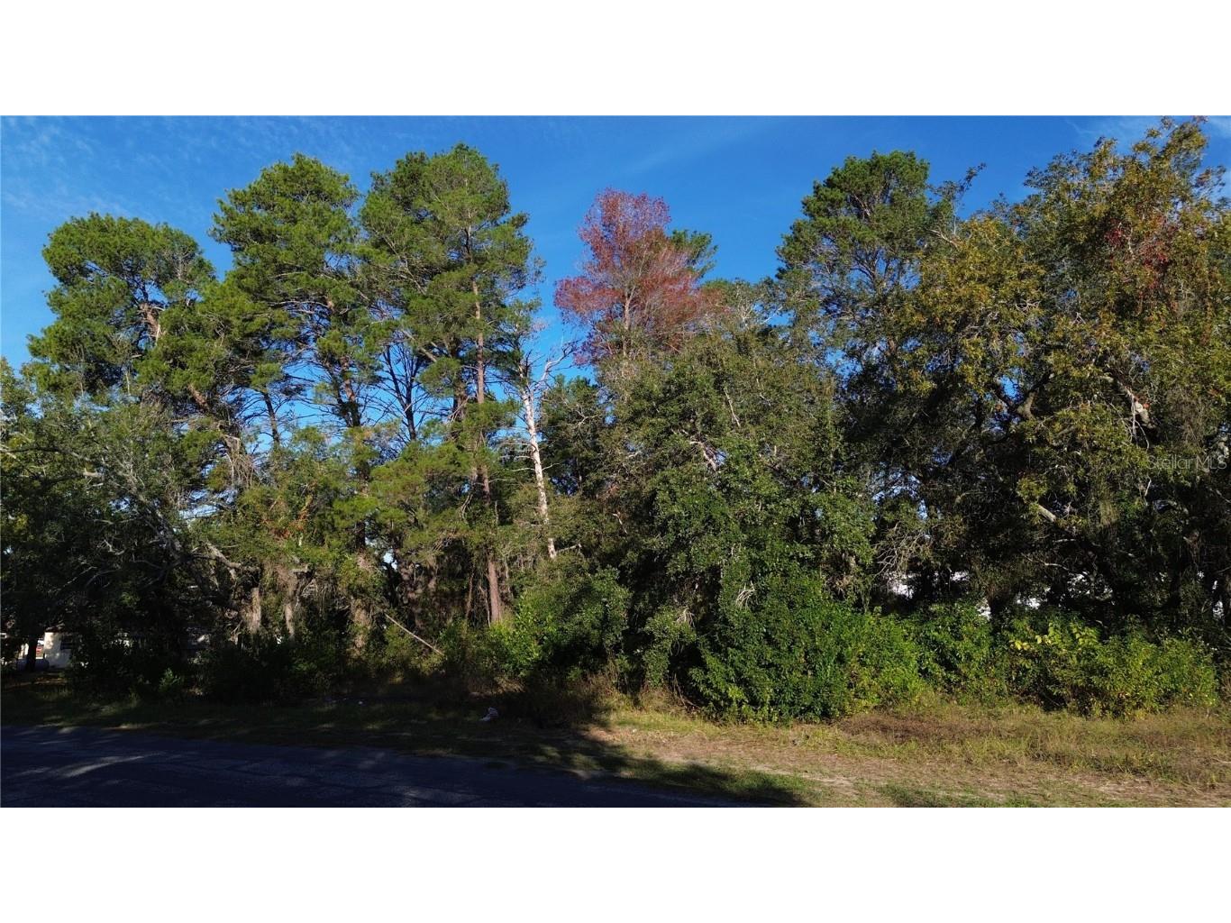 7939 Rhanbuoy Road Spring Hill FL 34606 TB8444653 image2