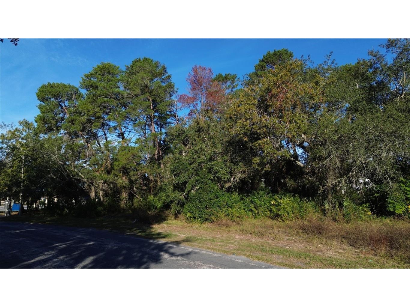 7939 Rhanbuoy Road Spring Hill FL 34606 TB8444653 image3