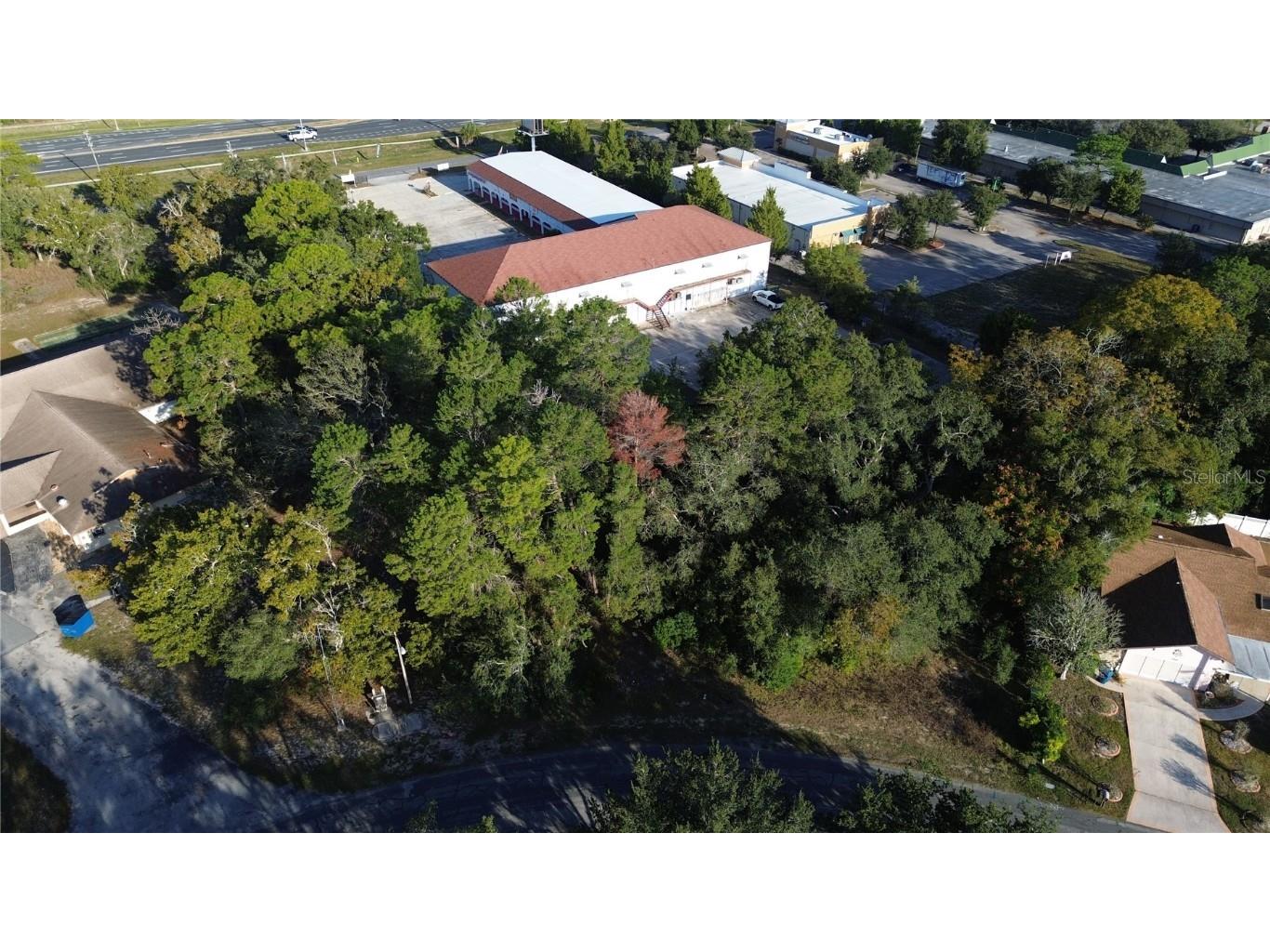 7939 Rhanbuoy Road Spring Hill FL 34606 TB8444653 image6