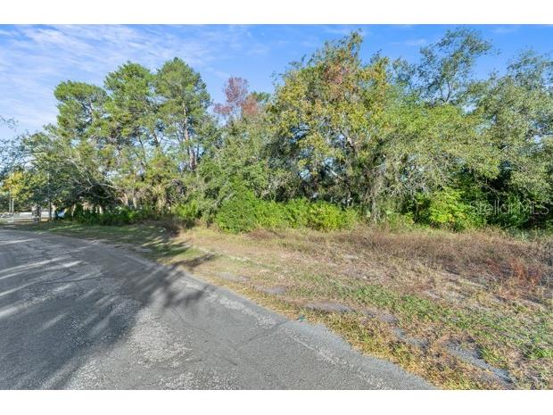 7939 Rhanbuoy Road Spring Hill FL 34606 TB8444653 image9