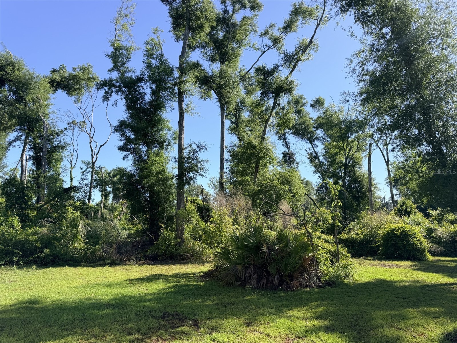 794 NE 521 Street Old Town FL 32680 GC540497 image16