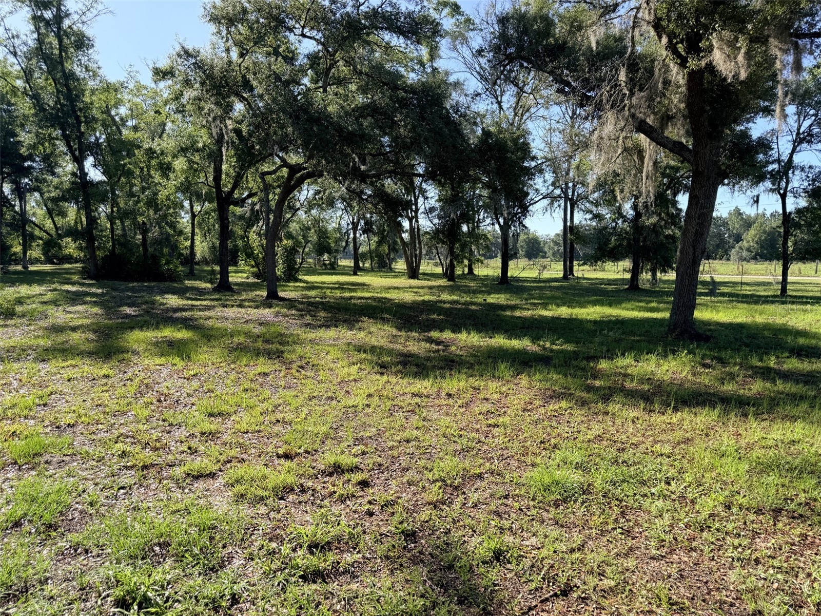 794 NE 521 Street Old Town FL 32680 GC540497 image2