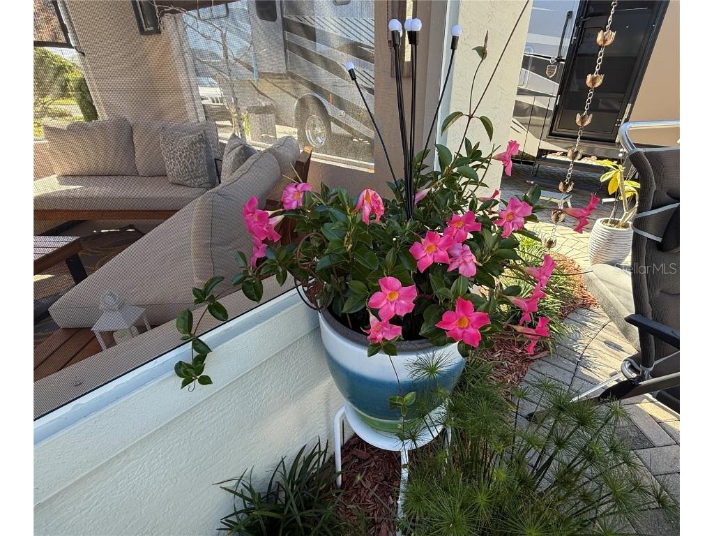 794 Teaberry Trail Polk City FL 33868 L4957239 image15