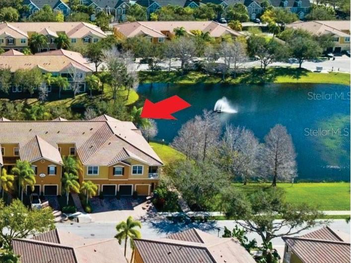 7940 Limestone Lane #19-204 Sarasota FL 34233 A4622791 image1