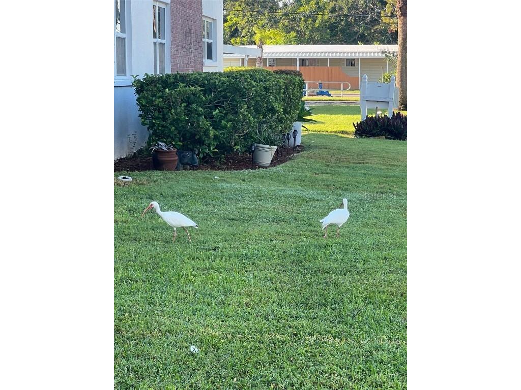 7941 58th Avenue N #106 Saint Petersburg FL 33709 TB8432970 image3