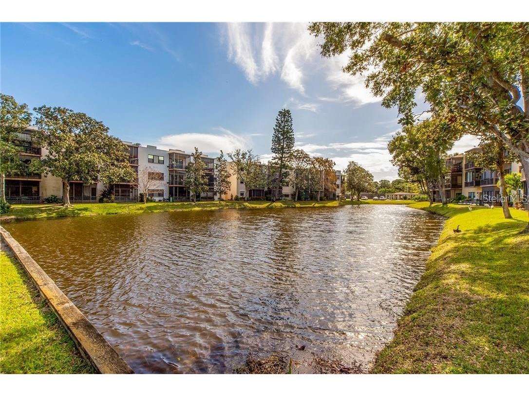 7941 58th Avenue N #202 Saint Petersburg FL 33709 TB8510668 image38