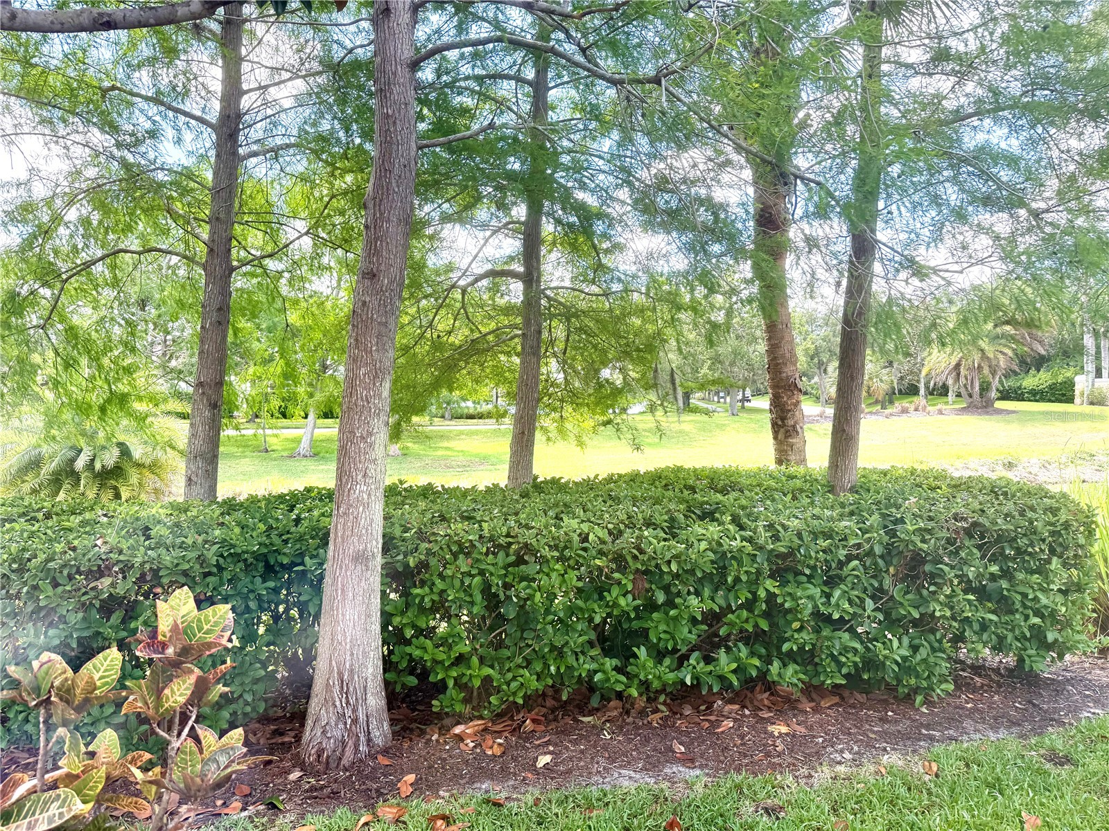 7944 Bergamo Avenue Sarasota FL 34238 A4681762 image5