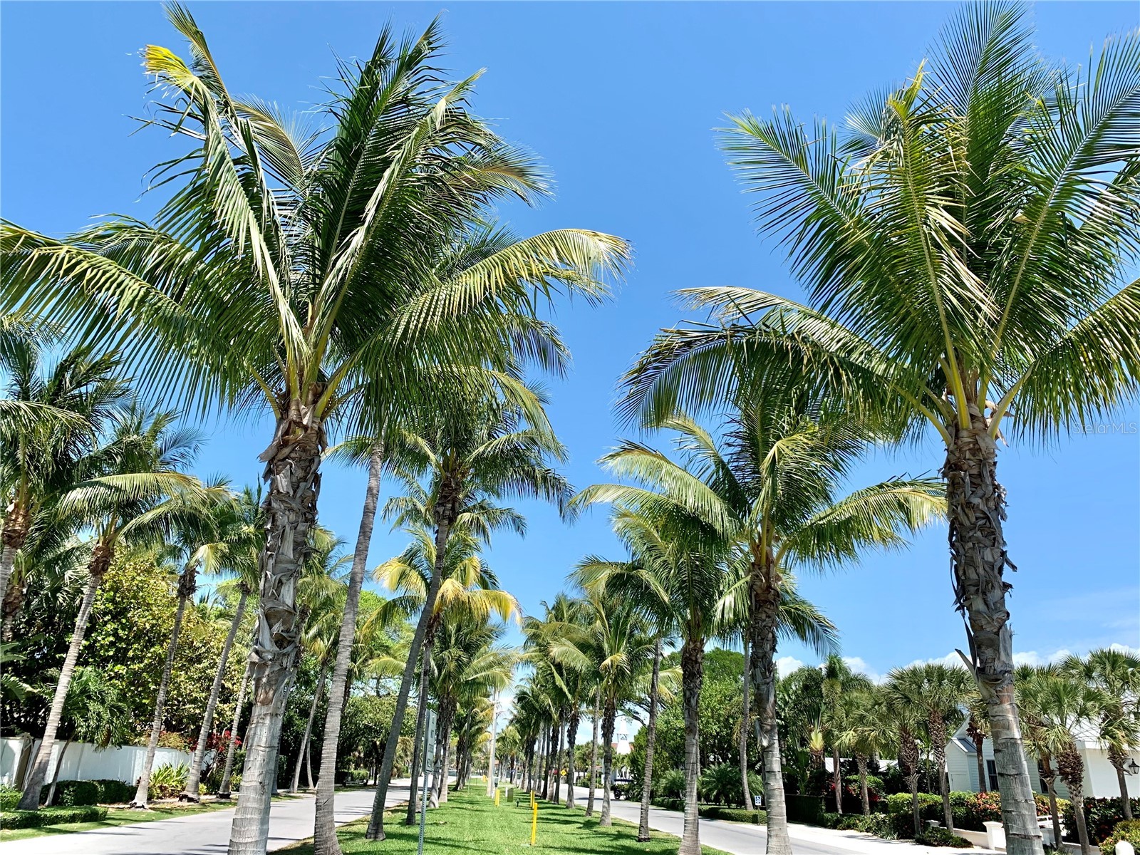 7944 Bergamo Avenue Sarasota FL 34238 A4681762 image76