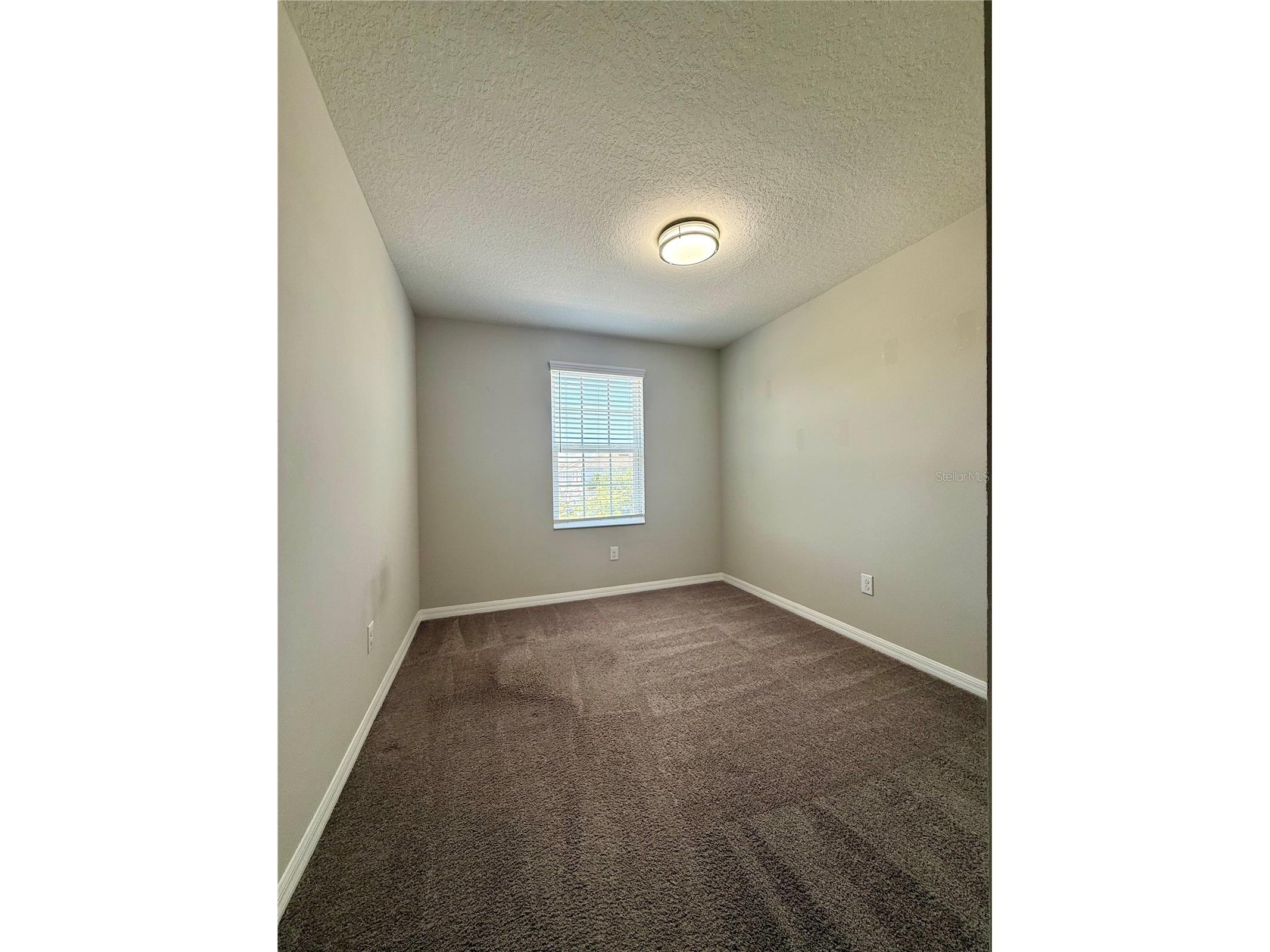 7944 Evergreen Creek Court Riverview FL 33578 TB8505009 image17