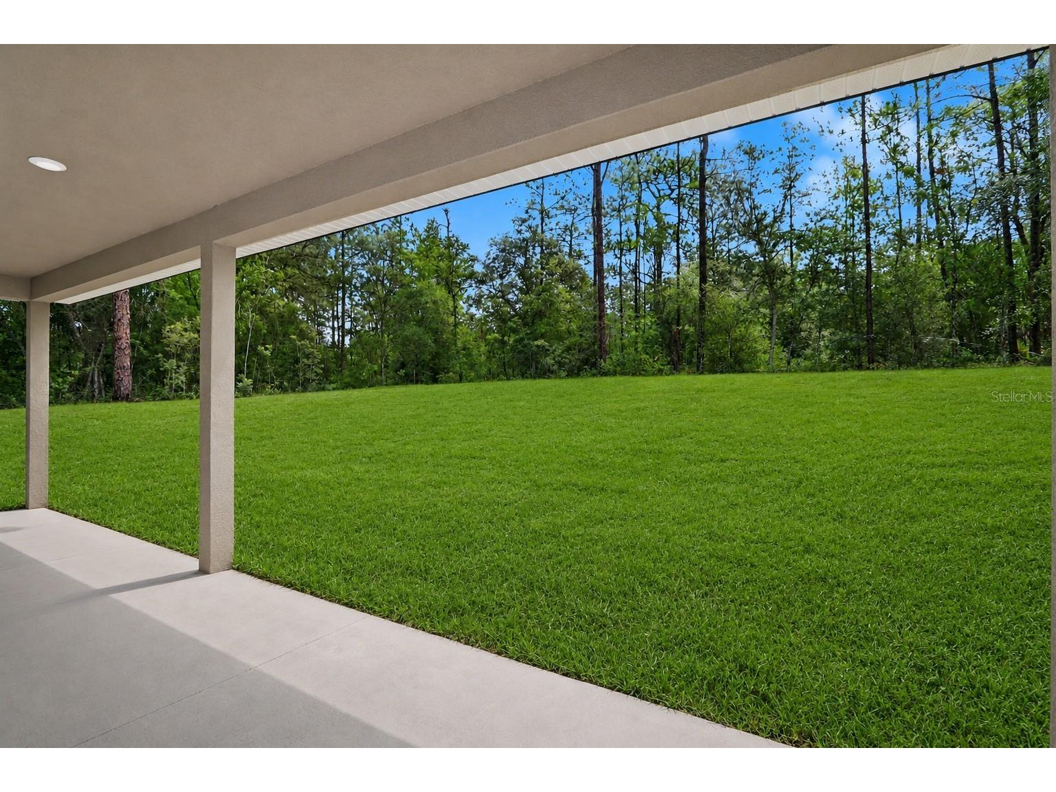 7945 N Ibsen Drive Citrus Springs FL 34433 TB8513849 image3