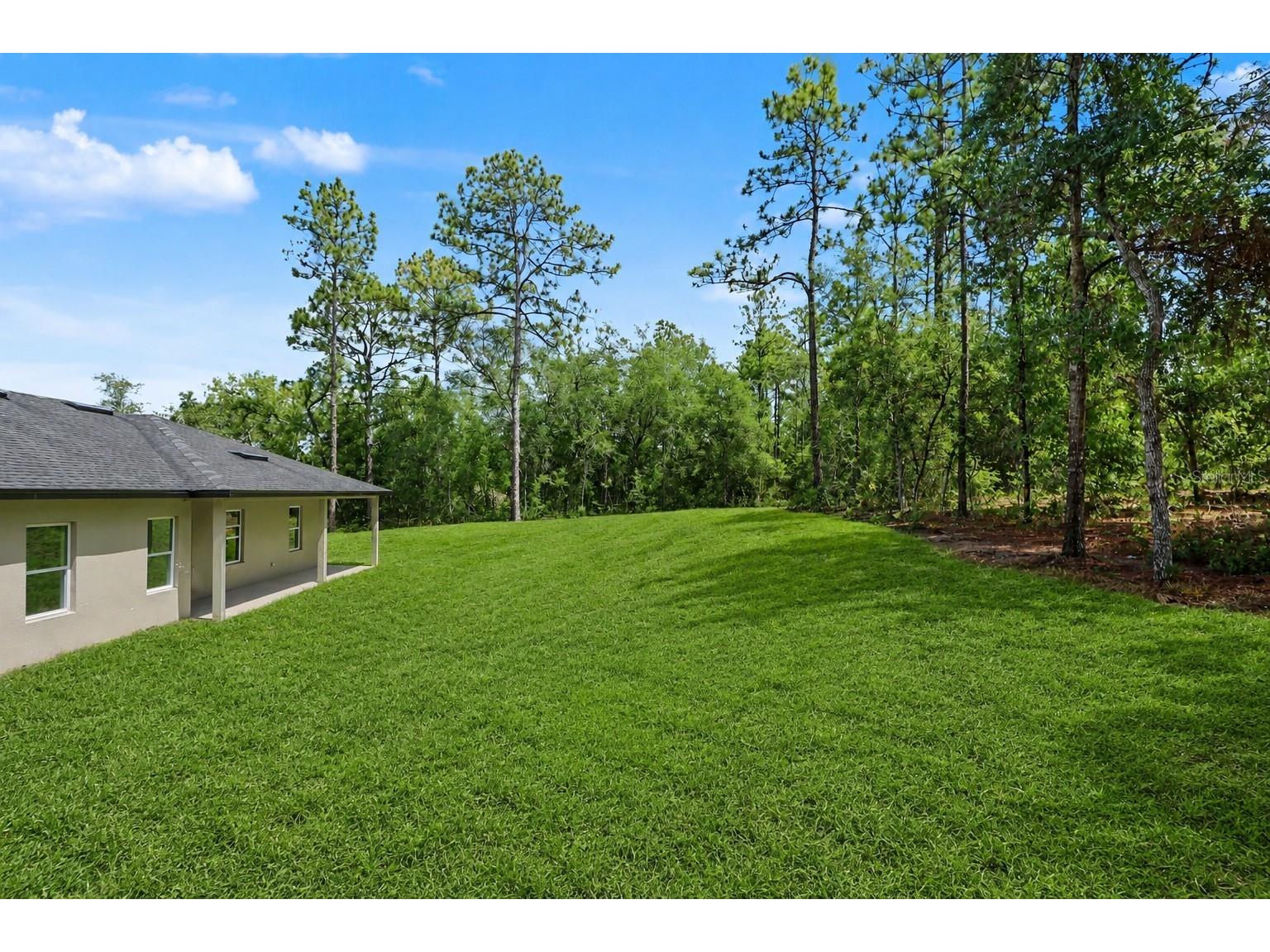 7945 N Ibsen Drive Citrus Springs FL 34433 TB8513849 image44