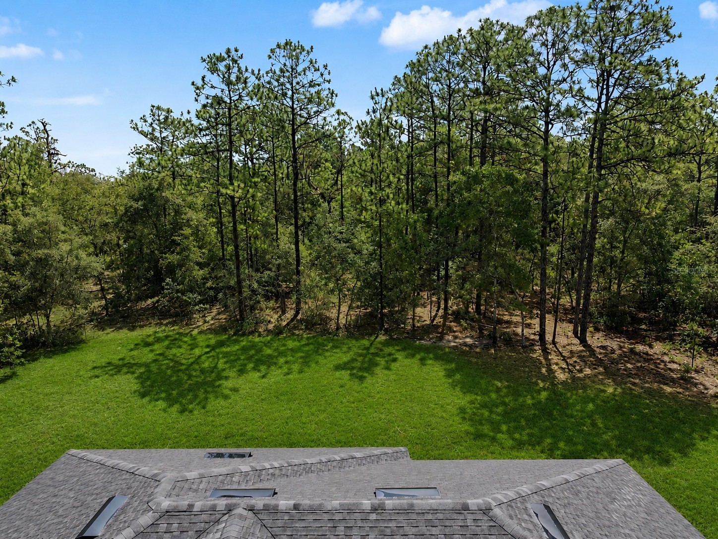 7945 N Ibsen Drive Citrus Springs FL 34433 TB8513849 image48
