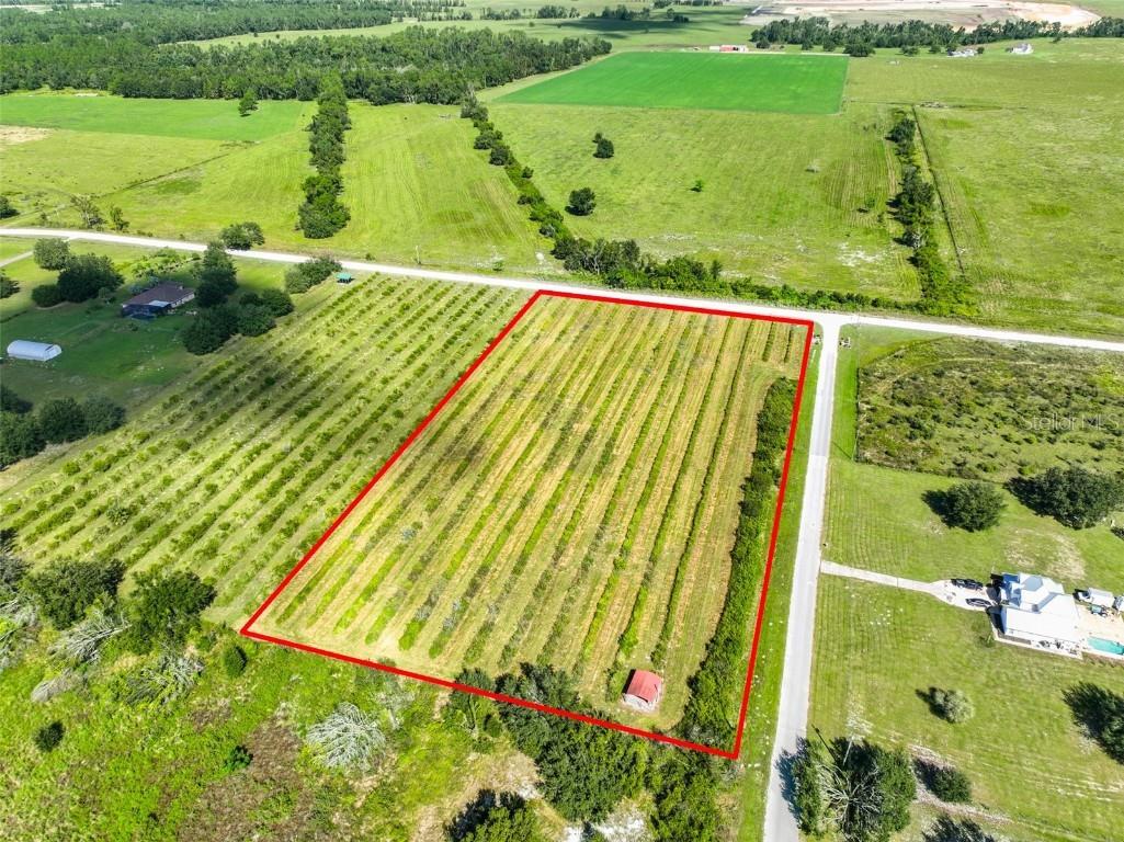 7947 Artifact Drive Zephyrhills FL 33541 TB8439186 image1