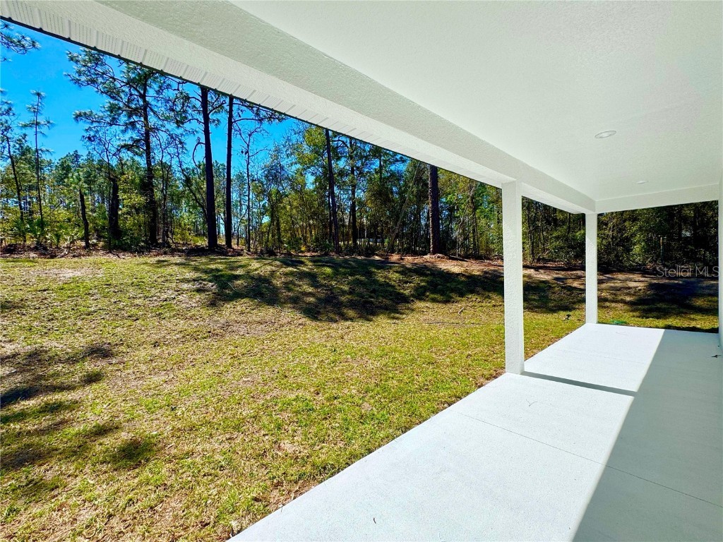 7947 N Primrose Drive Citrus Springs FL 34434 O6287664 image10