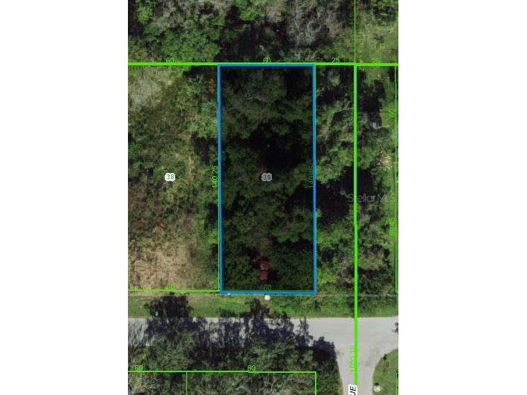 7947 Palatine Drive Hudson FL 34667 OM677232 image1