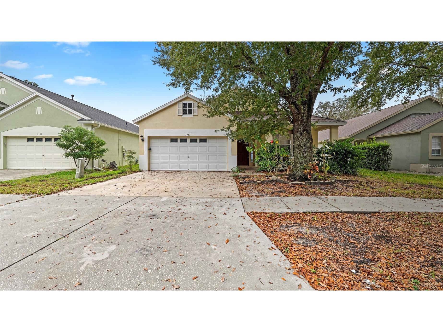 7947 Terrace Ridge Drive Temple Terrace FL 33637 TB8453217 image1